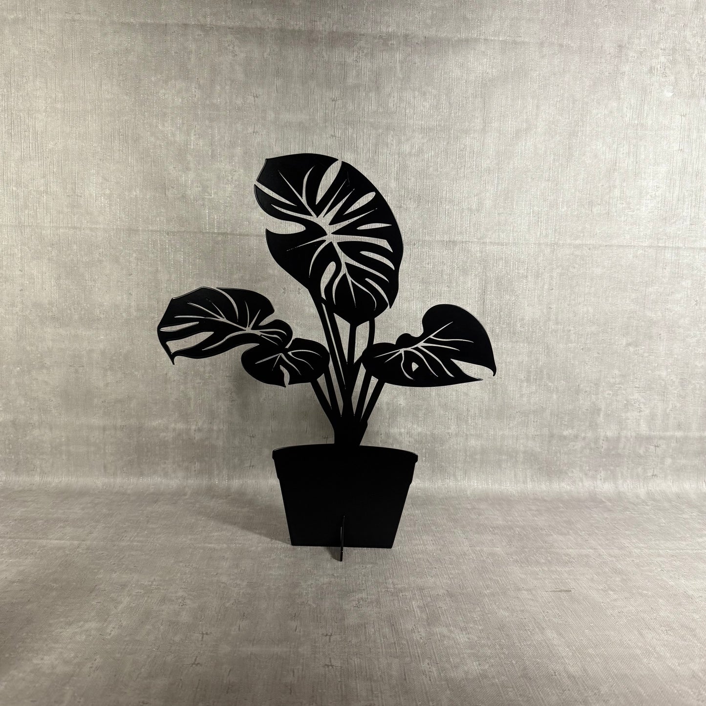 Monstera - Lövverk