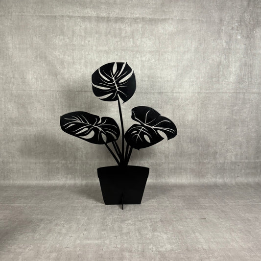 Monstera - Bladhjärta