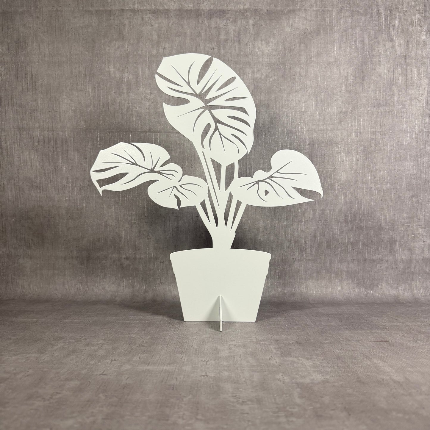 Monstera - Lövverk