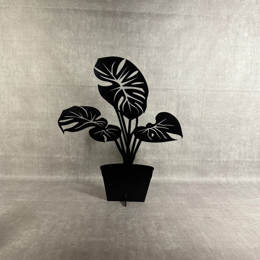 Monstera - Lövverk