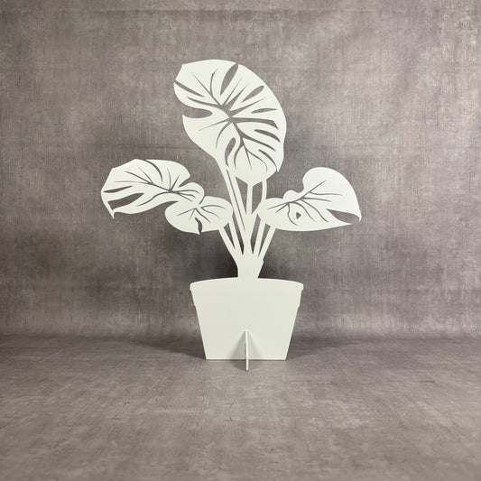 Monstera - Lövverk